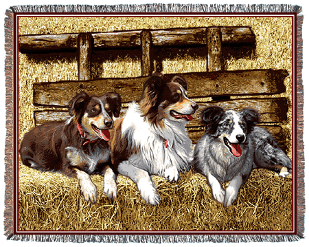 Australian Shepherd Tapestry Afghan *